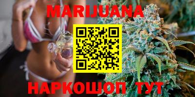 apvp Можга