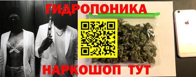 apvp Можга