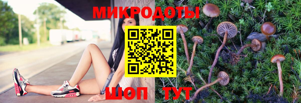 Галлюциногенные грибы мицелий Георгиевск